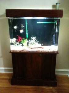 fishtank_light